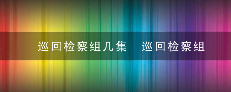 巡回检察组几集 巡回检察组一共有几集